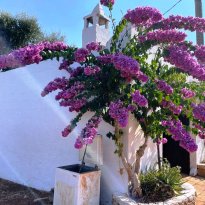 Ceglie Messapica  Puglia