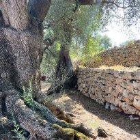 Ceglie Messapica  Puglia