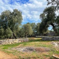 Ceglie Messapica  Puglia