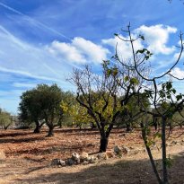 Ceglie Messapica Puglia