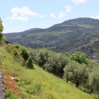Dolceacqua Liguria