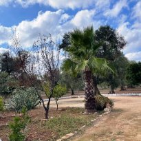 San Michele Salentino Puglia