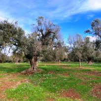 San Michele Salentino Puglia