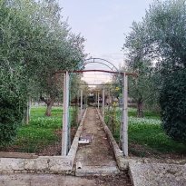 San Vito dei Normanni Puglia