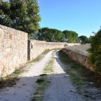 Serranova  Puglia