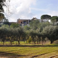 Serranova  Puglia