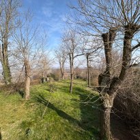 Cavatore Piemonte