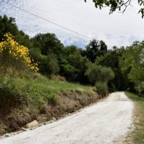 Serra San Quirico Le Marche