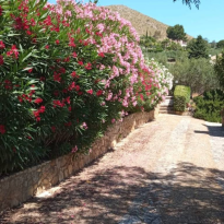 Castellammare del Golfo Sicilia