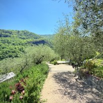 Apricale Liguria