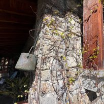 Pieve di Teco Liguria