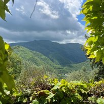 Pieve di Teco Liguria