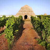 Manduria Puglia
