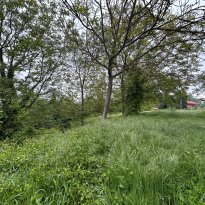 Ricaldone Piemonte