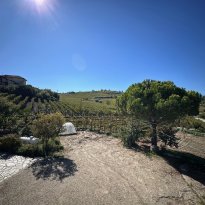 Ricaldone Piemonte