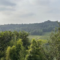 Maranzana Piemonte