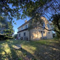 Cartoceto, Colli al Metauro Le Marche