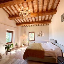Cartoceto, Colli al Metauro Le Marche