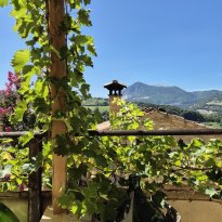 Cupramontana Le Marche