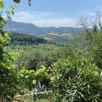 Cupramontana Le Marche