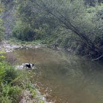 Penna San Giovanni Le Marche