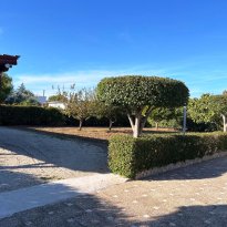 Corato Puglia
