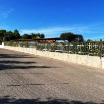 Corato Puglia