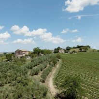 Arcevia Le Marche