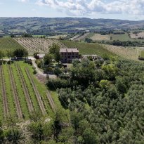 Arcevia Le Marche