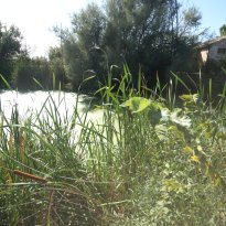 Montecarotto Le Marche
