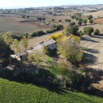 Ostra Le Marche