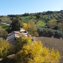 Ostra Le Marche