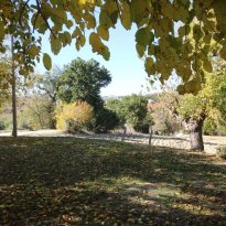 Ostra Le Marche