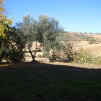 Ostra Le Marche