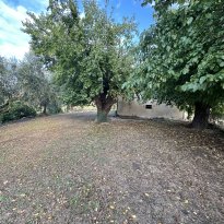 Ostra Le Marche