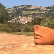 Cartoceto Le Marche