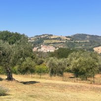 Cartoceto Le Marche