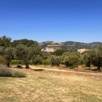 Cartoceto Le Marche
