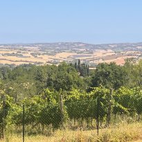 Cartoceto Le Marche