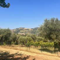 Cartoceto Le Marche