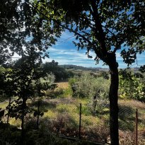 Barchi Le Marche