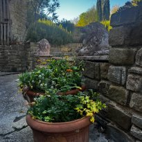 Arcevia Le Marche