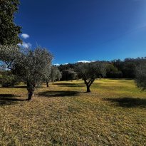 Arcevia Le Marche