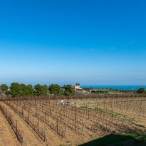 Campofilone Le Marche