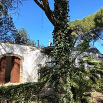 Cisternino Puglia