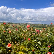 Monte Giberto Le Marche
