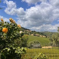 Monte Giberto Le Marche