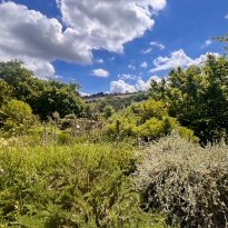 Monte Giberto Le Marche