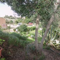 Trinità d'Agultu e Vignola Sardegna