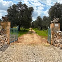 Ceglie Messapica Puglia